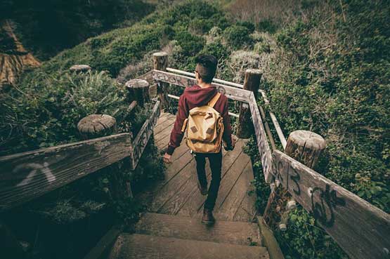 引领价值创造的网站攻击手段